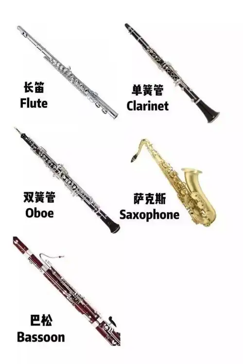 长郡云龙实验学校 王婷 音乐鉴赏《认识西洋乐器分类》