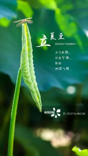 四季养生之二 夏季养心