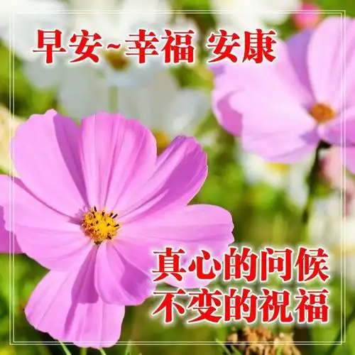 十月初一早上好问候语带图片,新版早安祝福语阳光图片表情大全