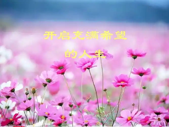 引言 开启充满希望的人生ppt