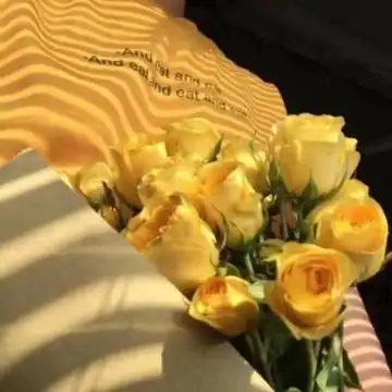 2020带好运的微信风景头像 别对我好我无以为报