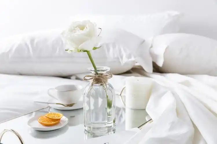 ins极简北欧冷淡风.(图摘自度娘)