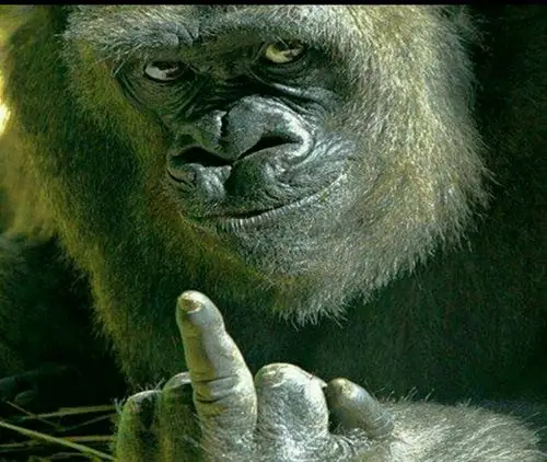 确认过眼神是不想理的人表情包 - 日常表情包