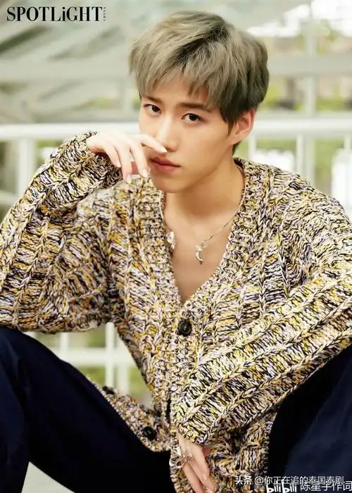 泰国歌手third资料