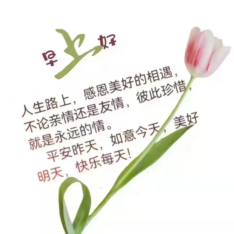 道一句早安,光芒万丈,晴空洒下的祝福伴随在清晨的第一缕阳光! - 抖音