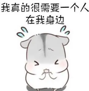 国庆出行你以为只缺个女朋友 其实还有