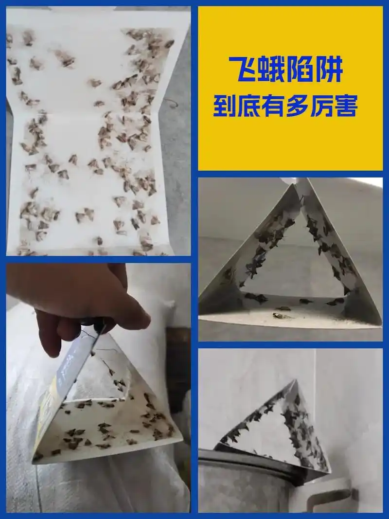 飞蛾对人体有害吗.7915使用背景:天热了,惊呆了!