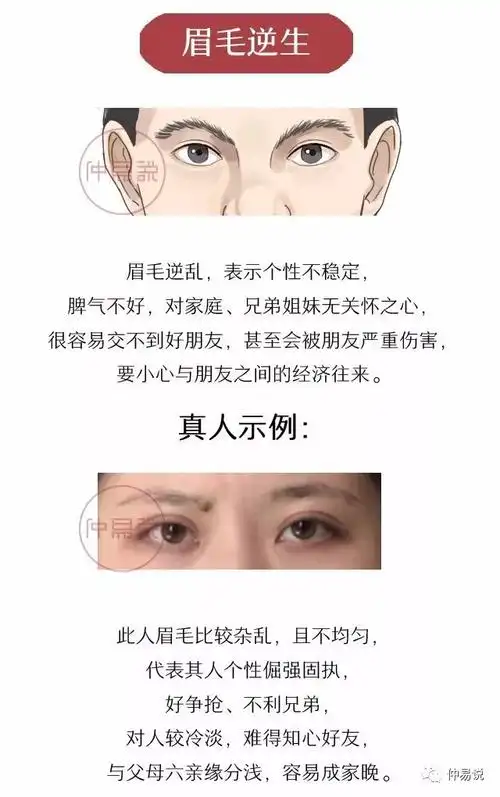 眉毛看命运男人 男人富贵眉毛看相图解