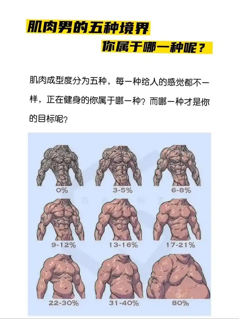 肌肉男的五种等级!快看看你属于哪一种?更喜欢哪一种身材呢?# - 抖音