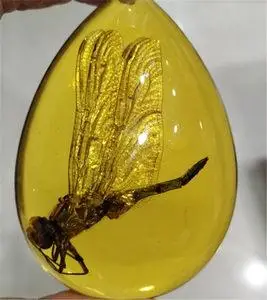 仿琥珀虫珀真蜻蜓吊坠手玩件男女饰品diy饰品昆虫动物标本
