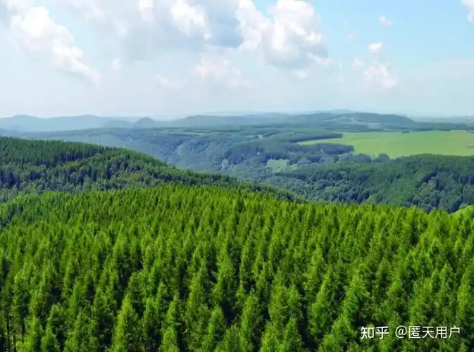 如何看待媒体再披露敦煌毁林案资料显示敦煌阳关林场防护林面积为13