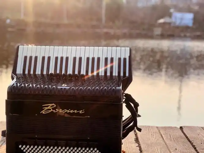 手风琴