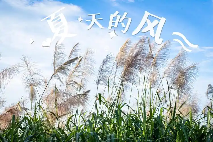 夏天的风