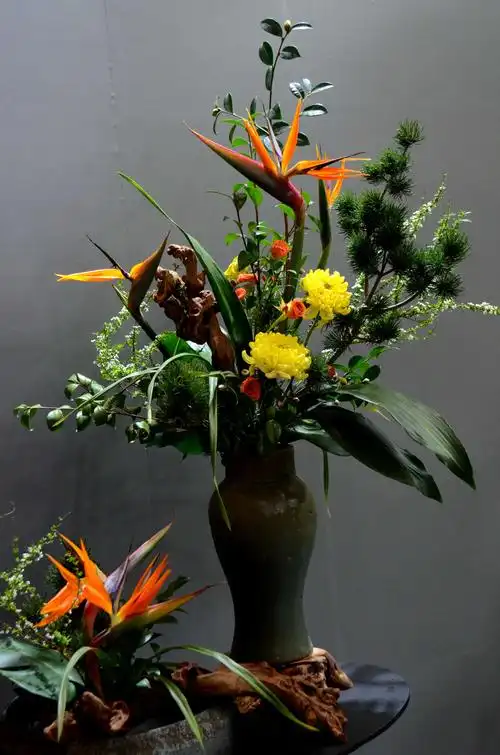 共享花艺盛宴----第五届中国杯插花花艺大赛作品拍摄(2018.12.3)