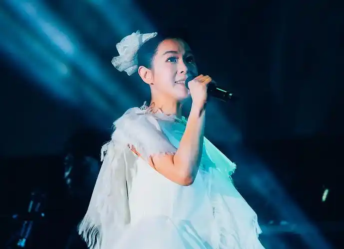 刘若英济南演唱会