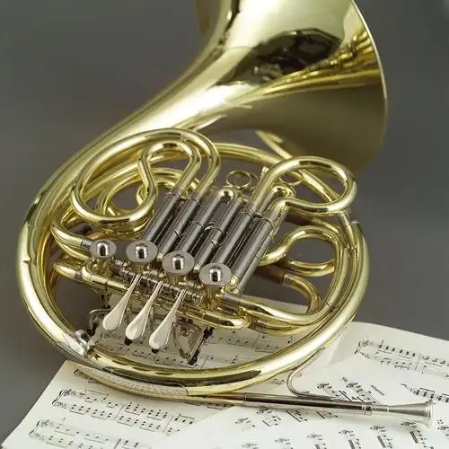 圆号---现代的广泛应用_入门_圆号_西洋乐器_知识_资讯_稻蕊咪音乐网