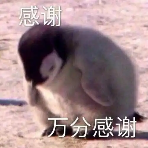 今日推荐-今日份的微信恶搞斗图表情包【金馆长表情包】 – 金馆长表