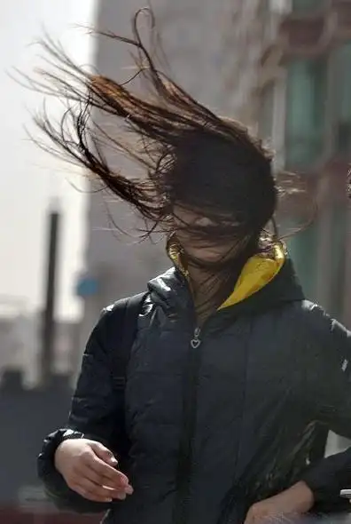 保险理赔时效 保险理赔大风