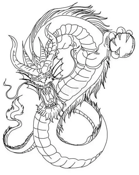 龙字纹身简笔画龙简笔画怎么画龙的简笔画贝贝的故