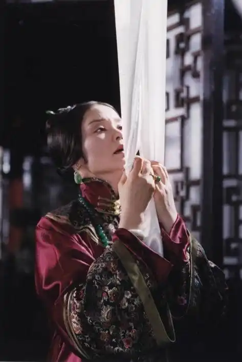 资料图片电视剧无盐女精彩剧照9