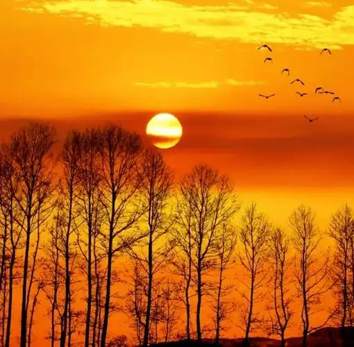 夕阳无限好,幸福活到老_人生_岁月悠悠_一生