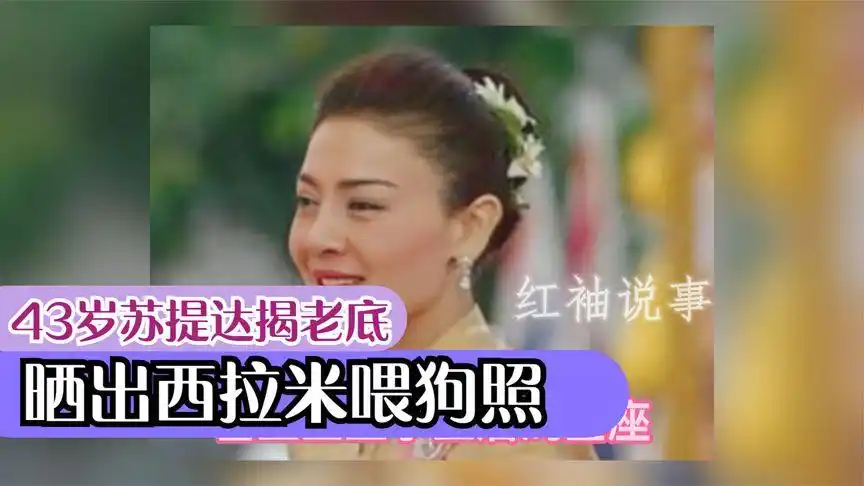 43岁苏提达铁面无私,晒西拉米"喂狗照",找准死穴出手快准狠-vlog视频