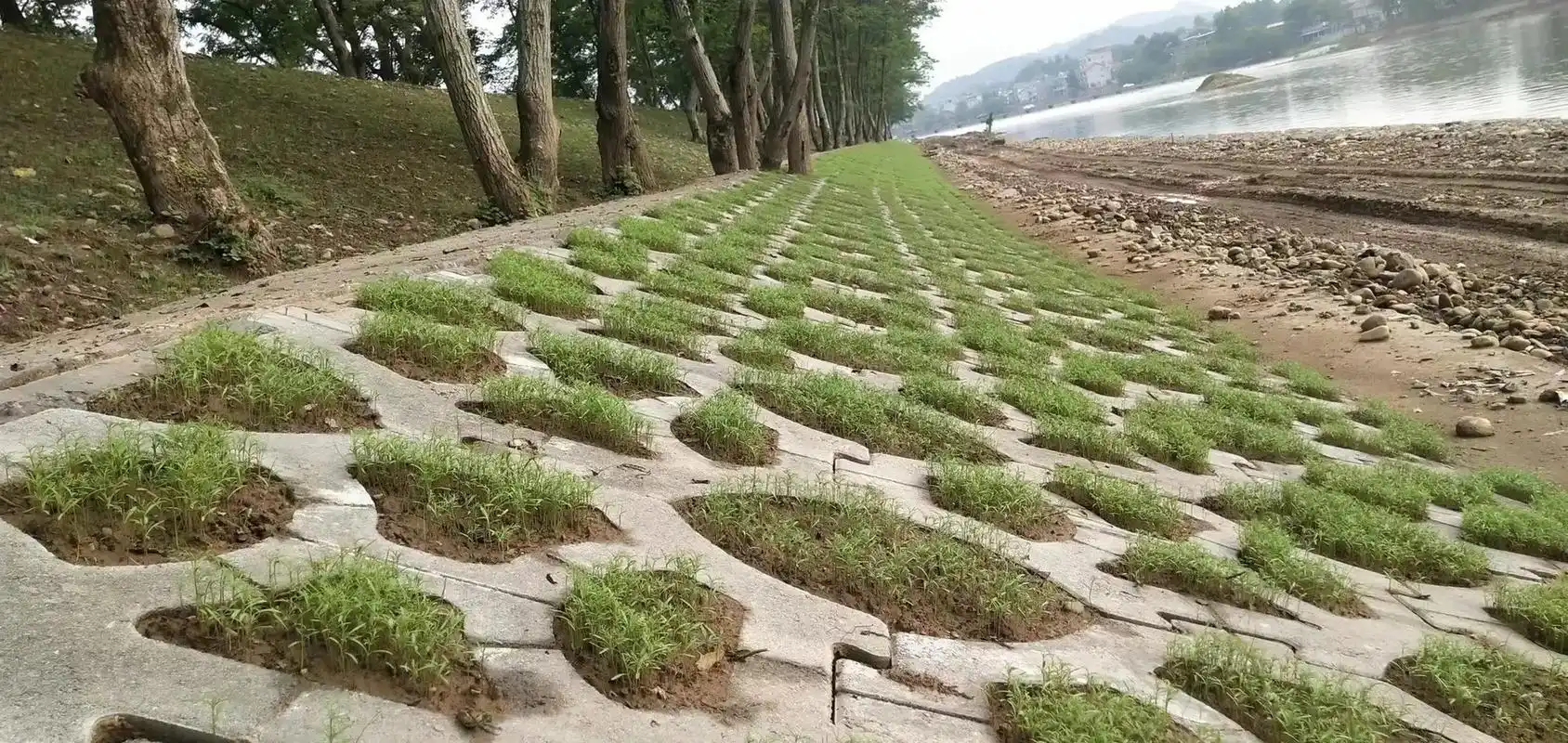 长植物的生态挡土墙与生态护坡.