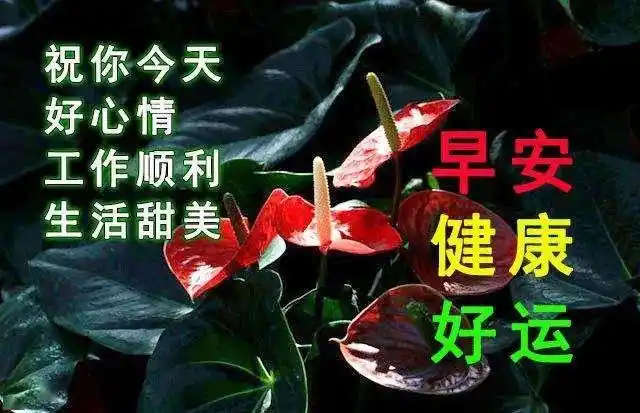 周一清晨最新早上好祝福语短句,早安最美的祝福图片表情