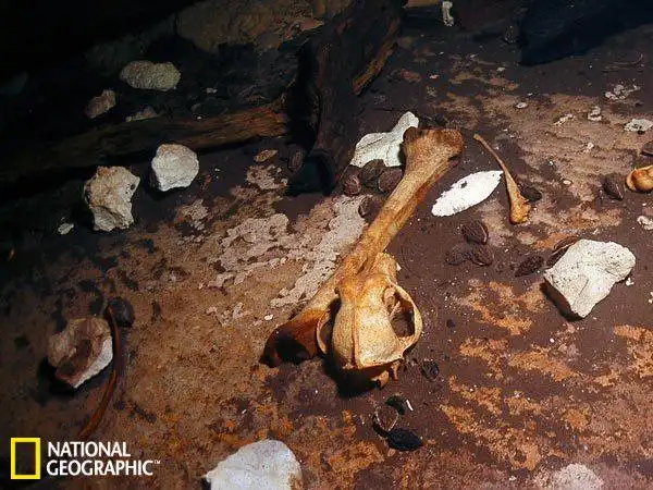 玛雅古城落水洞发现人祭骸骨:因干旱向雨神献祭