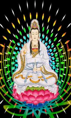 2017年11月7日 农历九月十九 观音菩萨出家日