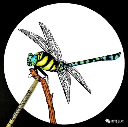 【线描马克笔创意手绘】夏日里的飞行家——蜻蜓 - 元艺考