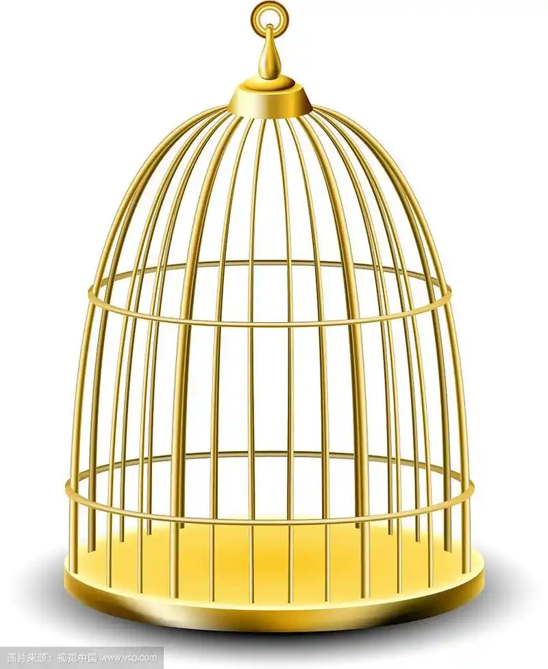金色的鸟笼