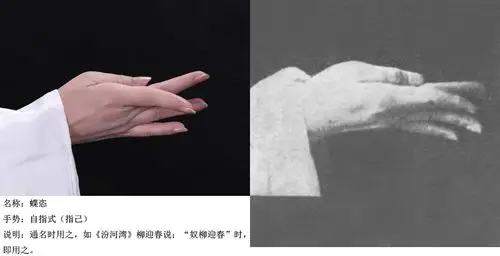 手舞艺术——梅派兰花指摄影展