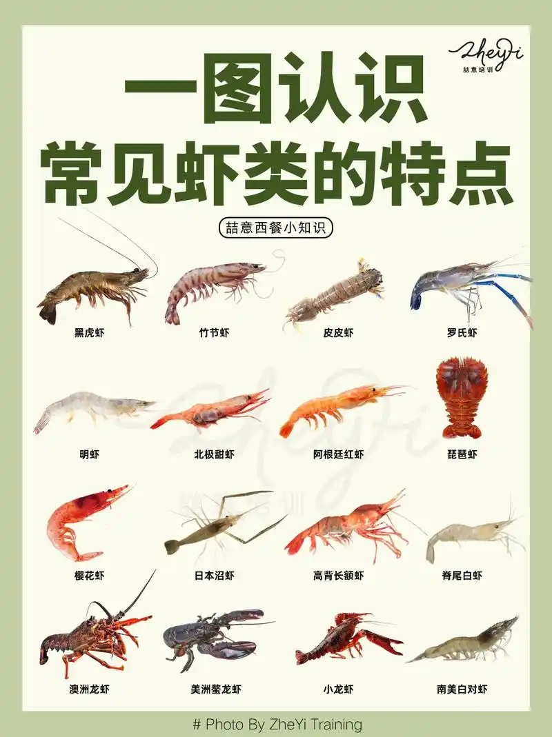 一图看懂9215西餐中常见虾类的特点08.