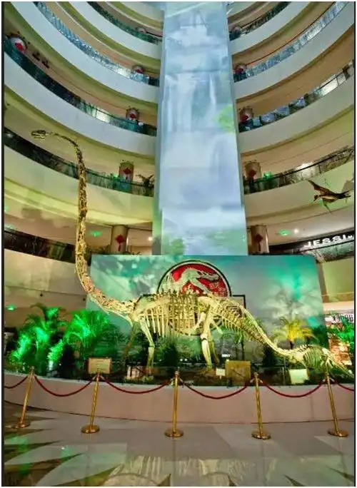 此次展览是自贡恐龙博物馆在成都的首次对外展出,博物馆方将原本粘鲻
