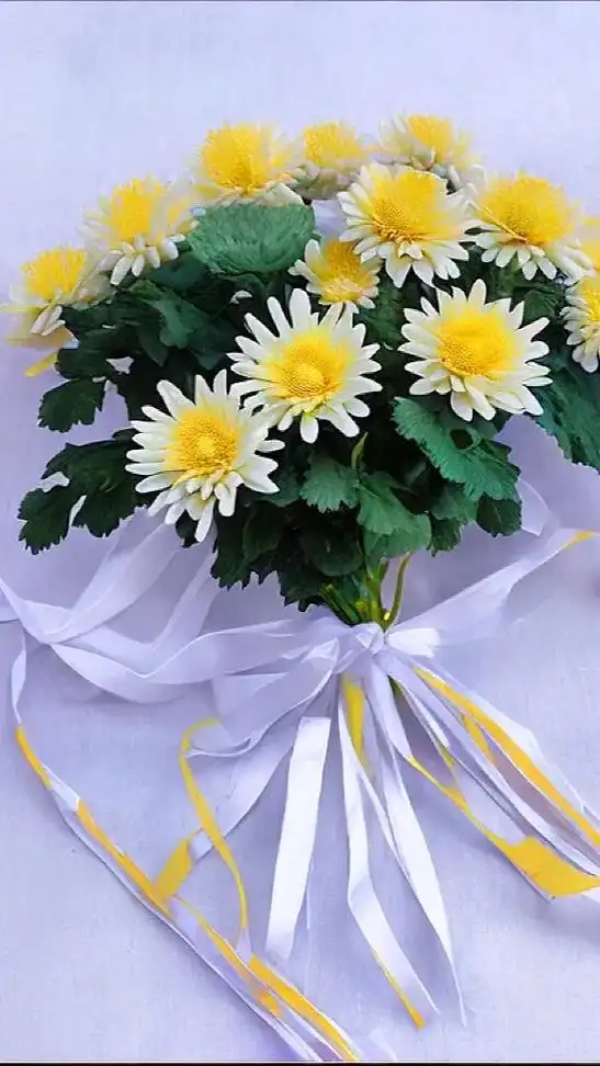 清明,一捧菊花,寄托对故去亲人的无限缅怀.#图文伙伴计划 # - 抖音