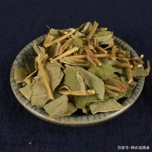 【备注】金钱草全国各地作金钱草药用的植物品种较多.