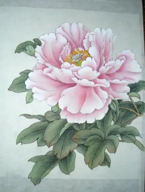 牡丹花头 - 欣子工作室的日志 - 网易博客