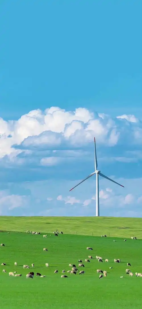 小清新意境治愈系