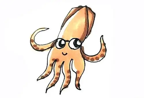卡通鱿鱼的画法步骤图解教程