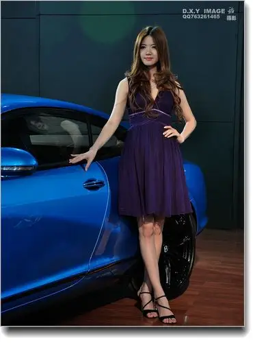 宾利车模【西博会车展】