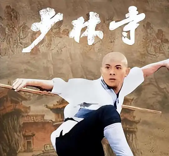 李连杰受到邀请出演《少林小子》和《南北少林》等多部少林寺功夫电影