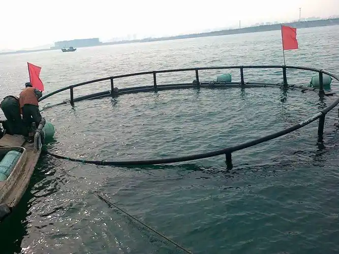 手持余氯检测仪,可有效避免养殖损失