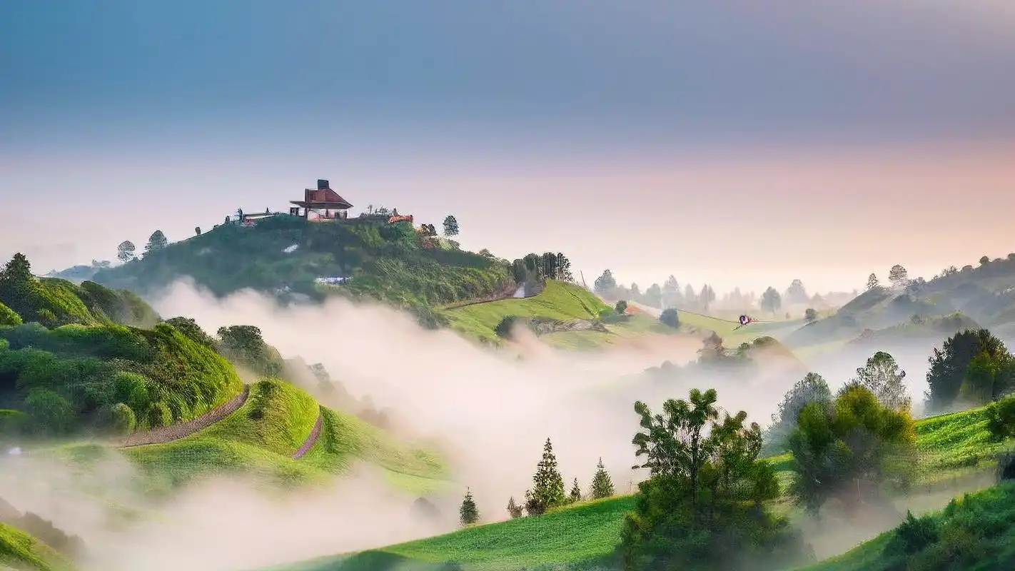 99横屏4k森林壁纸,美到窒息!