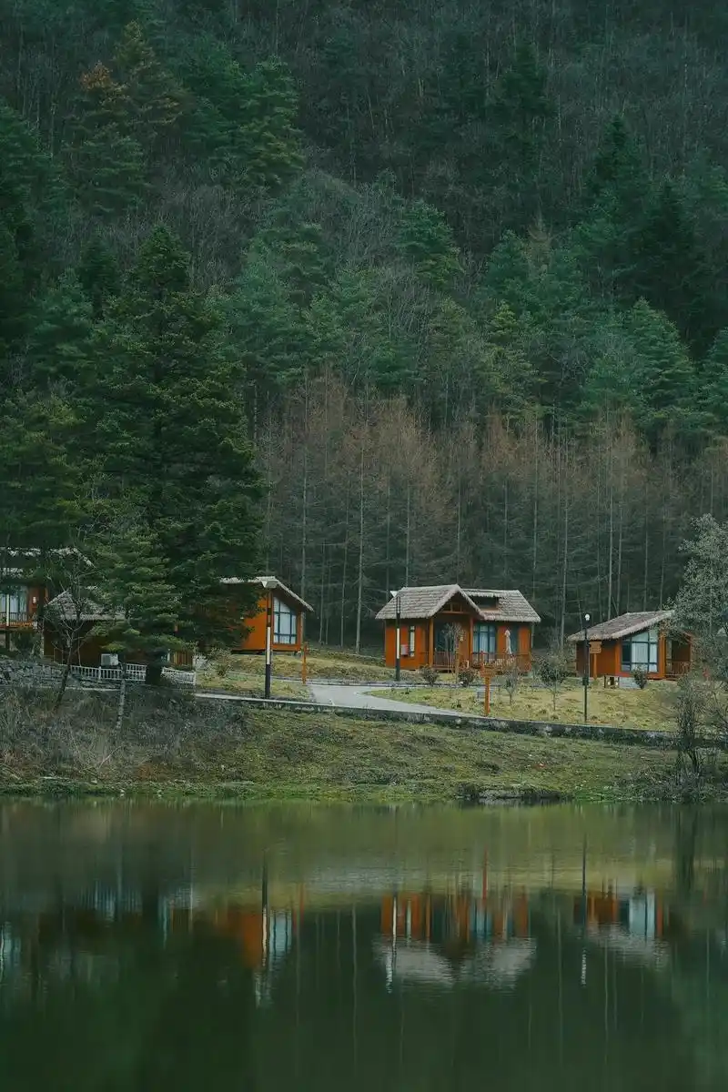 不出湖北|北欧森林木屋这里也有6015.