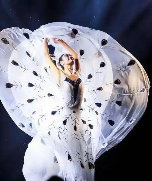 小白兔演绎《雀之灵》,与小彩旗是表姐妹,姨妈杨丽萍骄傲晒照_小视频