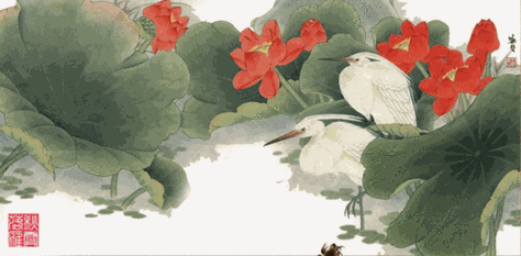 500_246gif 动态图 动图