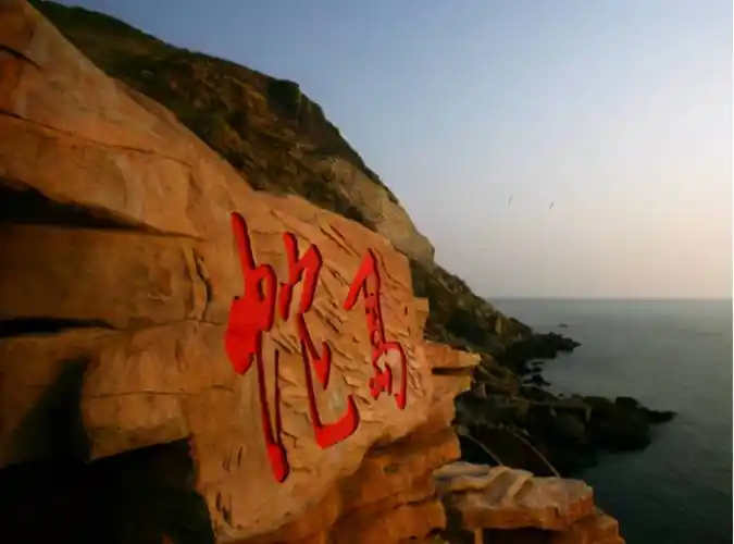 原创我国大连蛇岛上为何只有一种蛇岛蝮缺少食物它们如何生活