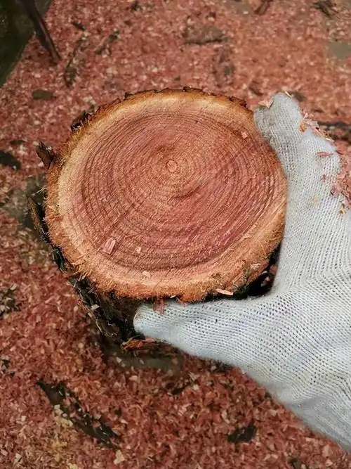 现在市场上的香椿木制的家具价格都非常高昂,也是实用性和观赏性并存