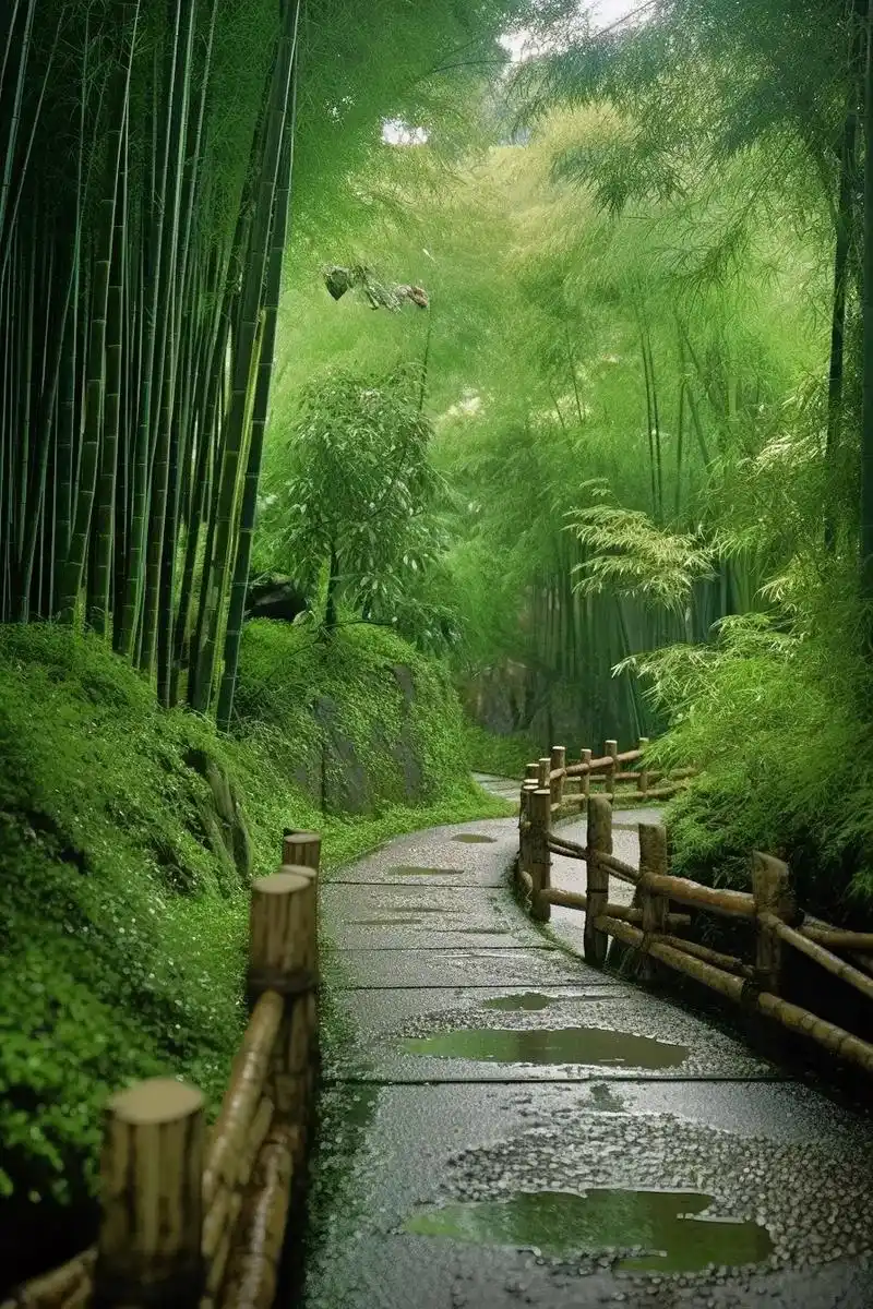 竹坞无尘水槛清,相思迢递隔重城.竹断相思情不知!#图 - 抖音